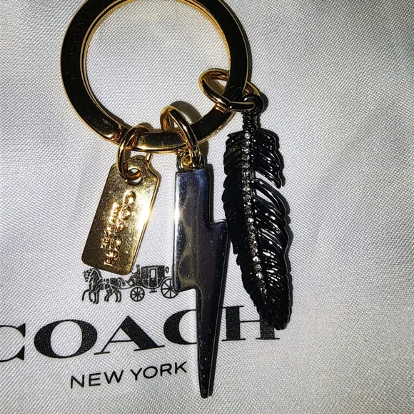Coach | Accessories | Coach Rare Discontinued Metal Feather  Rare Coach Metallic Feather Keychain main image 2